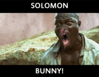 Bunnyfaic