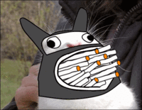 Bunnyfaic