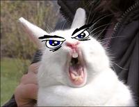Bunnyfaic