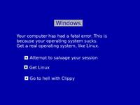 Blue Screen of Death (BSoD)