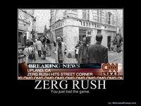 Zerg Rush