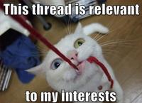 This is Relevant to My Interest