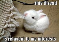 This is Relevant to My Interest