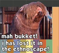 Lolrus