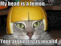 Your Argument is Invalid
