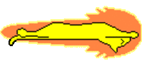 Speedycat