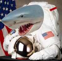 Harmony Central Amp Forum Astronauts!