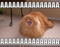 AAAAAAAAAAAAAA!!!!