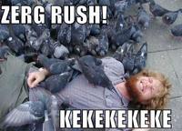 Zerg Rush