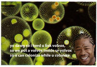 Xzibit Yo Dawg