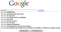 Google Search Box Suggestions