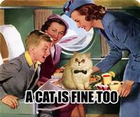 A cat is fine too....