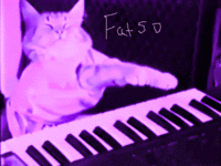 Keyboard Cat