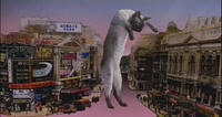 Longcat