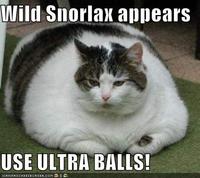 A wild Snorlax appears!
