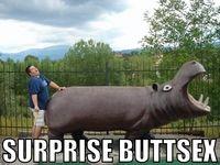 Surprise Buttsecks
