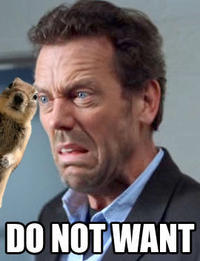 Crasher Squirrel