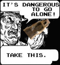 Crasher Squirrel