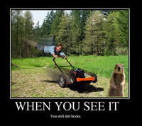 Crasher Squirrel