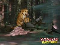 Weezer Raditude Dog