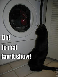 LOLcats