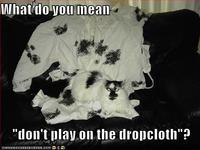 LOLcats
