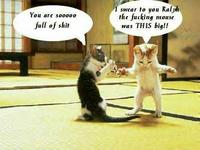 LOLcats