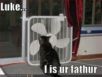 LOLcats