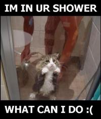 LOLcats