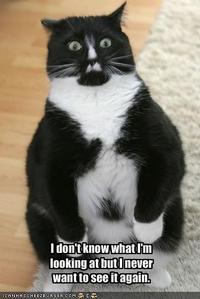 What Has Been Seen Cannot Be Unseen