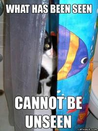 What Has Been Seen Cannot Be Unseen