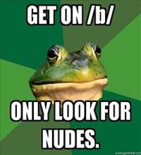 Foul Bachelor Frog