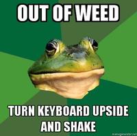 Foul Bachelor Frog