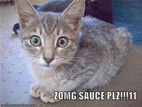 Sauce