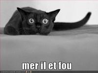 MER IL ET FOU