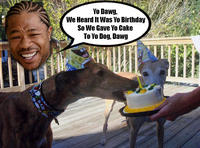 Xzibit Yo Dawg