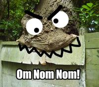 Om Nom Nom Nom