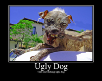 Sam the World's Ugliest Dog