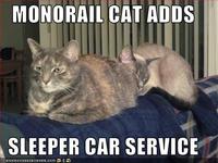 Monorail Cat