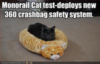 Monorail Cat