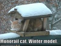 Monorail Cat