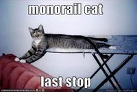Monorail Cat