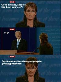 Biden / Palin Debate 4pane