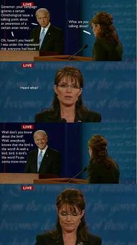 Biden / Palin Debate 4pane