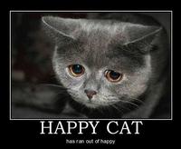Happy Cat