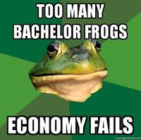 Foul Bachelor Frog