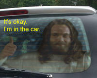 JESUS CHRIST IT'S A LION GET IN THE CAR!