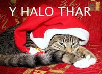 Y helo thar