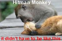 Hitman Monkey