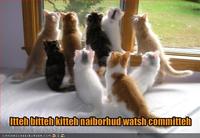 Itteh Bitteh Kitteh Committeh